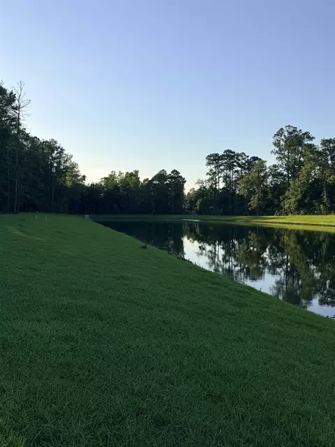 View/Area - 445 Falling Leaf Loop, Myrtle Beach, SC 29588 photo 2 of 3