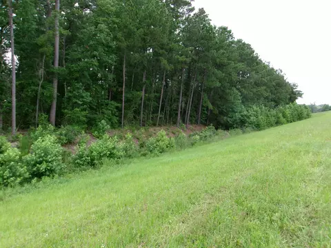 Highway 544, Myrtle Beach, SC 29588