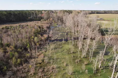 32 Acres-tbd Claire Rd, Hemingway, SC 29554