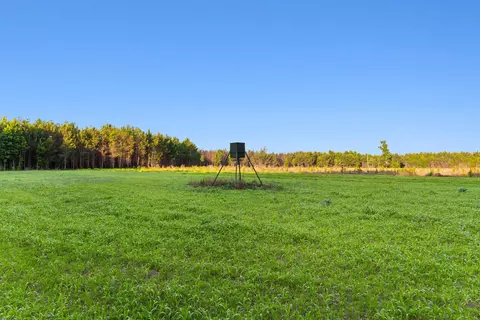 77 Acres-tbd Bert Hanna Rd, Johnsonville, SC 29555
