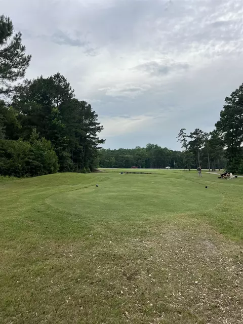 tbd Long Meadow Dr, Loris, SC 29569 photo 4