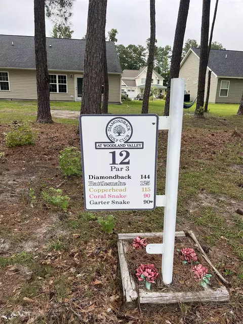 tbd Long Meadow Dr, Loris, SC 29569 photo 5