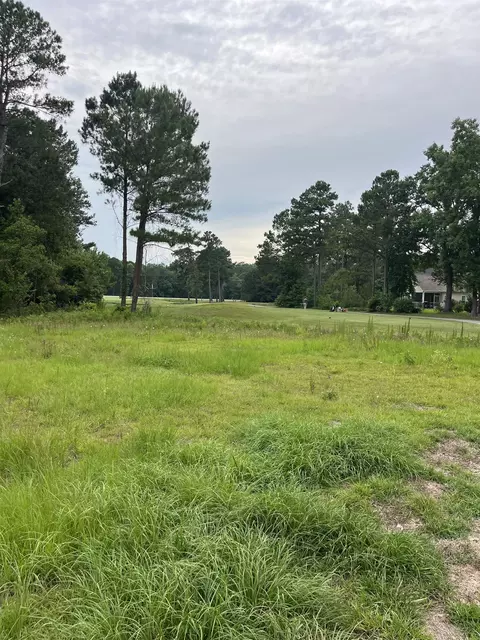 tbd Long Meadow Dr, Loris, SC 29569 photo 3