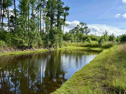 85 Acres- Muddy Creek Rd, Johnsonville, SC 29555