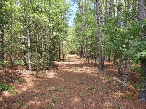 3435 Highway 430, Nichols, SC 29581