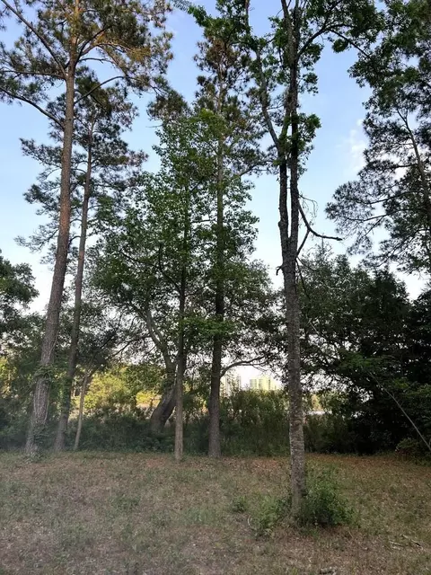 tbd Charlotte Rd, Myrtle Beach, SC 29577 photo 9
