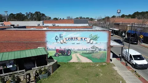 Other - 830 Farmers Passage Loop, Loris, SC 29569 photo 4 of 4