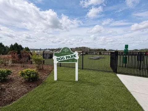 View/Area - 830 Farmers Passage Loop, Loris, SC 29569 photo 2 of 3