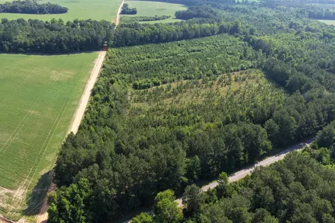 tbd Road 300, Lake View, SC 29563