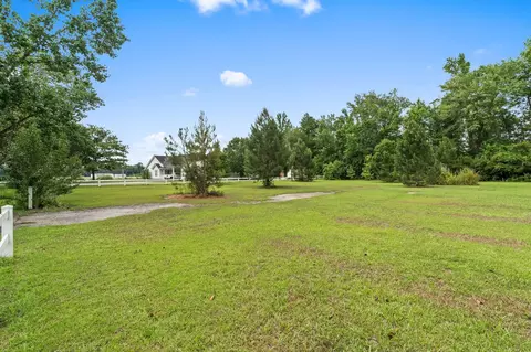 tbd Hampton Rd, Conway, SC 29527 photo 13