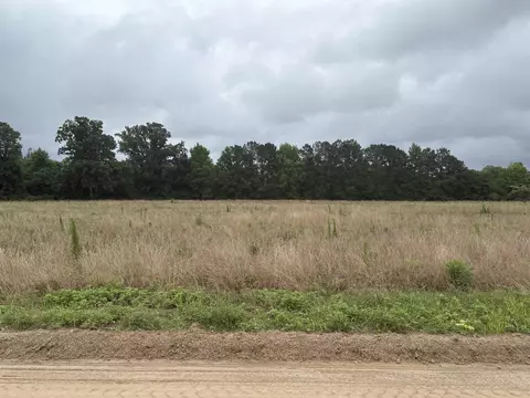 tbd Coney Dr, Longs, SC 29568 photo 5