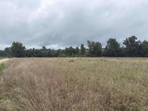 tbd Coney Dr, Longs, SC 29568