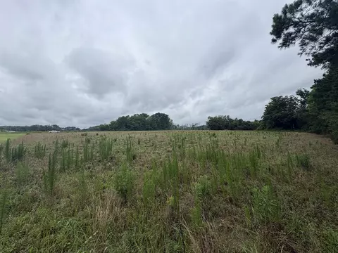 tbd Coney Dr, Longs, SC 29568 photo 6