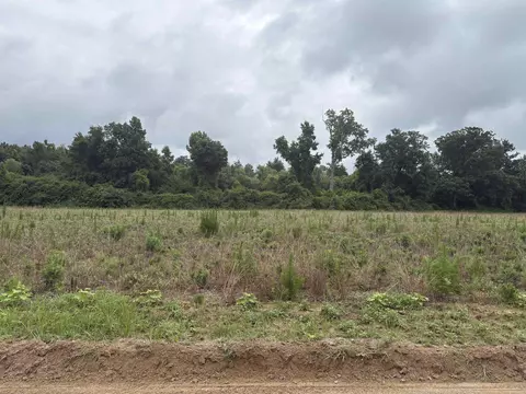 tbd Coney Dr, Longs, SC 29568 photo 3