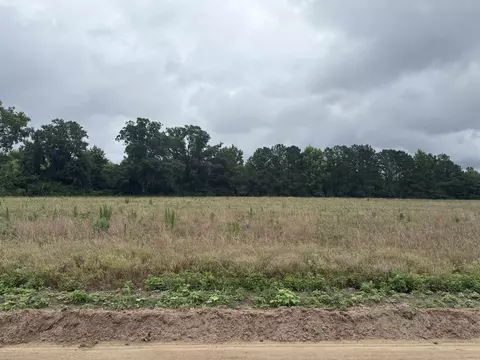 tbd Coney Dr, Longs, SC 29568 photo 4