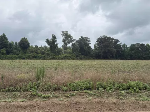tbd Coney Dr, Longs, SC 29568 photo 2