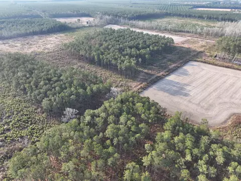 tbd Hwy 9, Marion, SC 29571