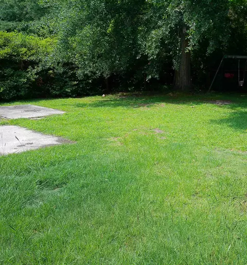 Exterior - 4389 Mcqueen St, Loris, SC 29569 photo 8 of 8