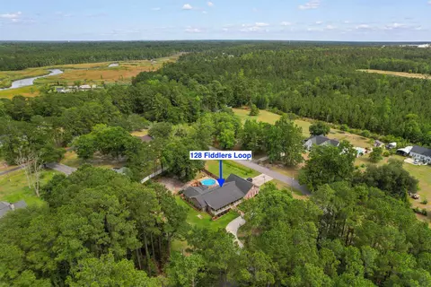 View/Area - 128 Fiddlers Loop, Georgetown, SC 29440 photo 3 of 12