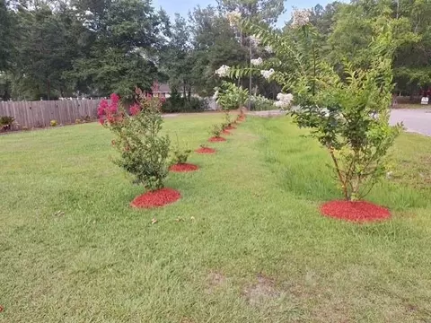 Exterior - 128 Fiddlers Loop, Georgetown, SC 29440 photo 14 of 16