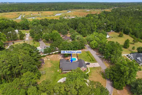 View/Area - 128 Fiddlers Loop, Georgetown, SC 29440 photo 5 of 12
