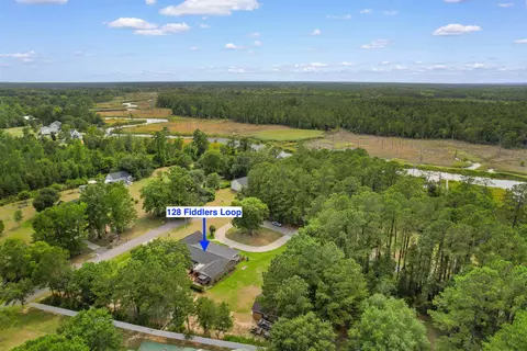 View/Area - 128 Fiddlers Loop, Georgetown, SC 29440 photo 1 of 12