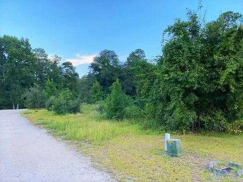 lot1 Ivanhoe Pl, Dillon, SC 29536 photo 3