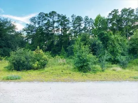 lot1 Ivanhoe Pl, Dillon, SC 29536