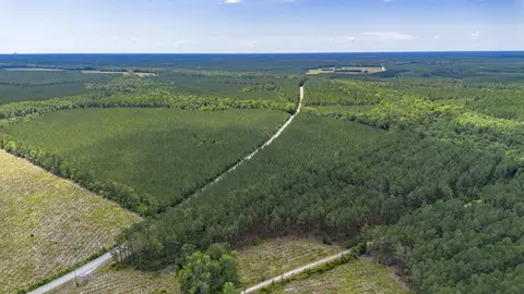 Tract A Ten Acre Rd., Andrews, SC 29510