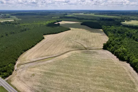 83 03acres- Birch Creek Rd, Andrews, SC 29510