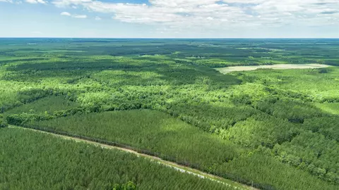 Tract E Ten Acre Rd., Andrews, SC 29510