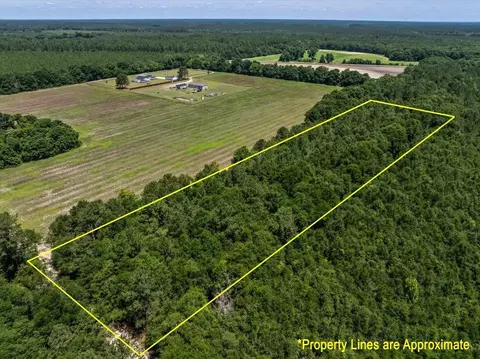 tbd 53 Acres Springtown Rd, Bamberg, SC 29003