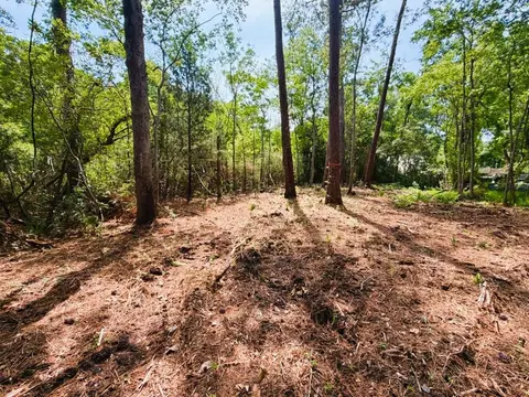 tbd Oak St, Georgetown, SC 29440 photo 8