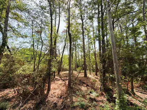 tbd Oak St, Georgetown, SC 29440 photo 3
