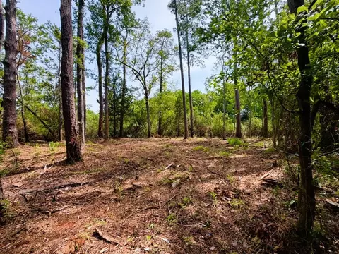 tbd Oak St, Georgetown, SC 29440 photo 4