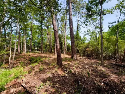 tbd Oak St, Georgetown, SC 29440 photo 6