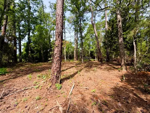 tbd Oak St, Georgetown, SC 29440 photo 5
