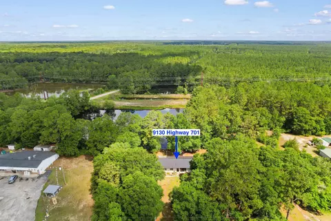 View/Area - 9130 Highway 701 S, Conway, SC 29527 photo 5 of 7