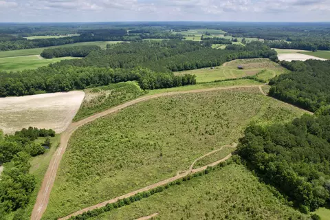 0 Powell Rd, Green Sea, SC 29545