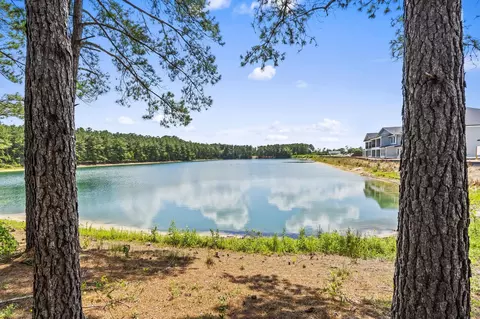 View/Area - 158 Shady Arbor Loop, Longs, SC 29568 photo 1 of 17