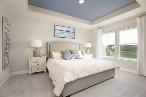 Bedroom - 623 Lemon Drop Dr, Longs, SC 29568 photo 2 of 3