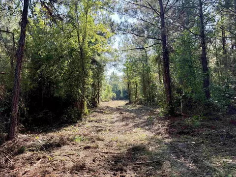 101 49acres- Epps Rd, New Zion, SC 29111