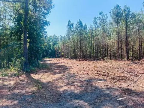 18 3acres- Turkey Ln, Kingstree, SC 29556 photo 4