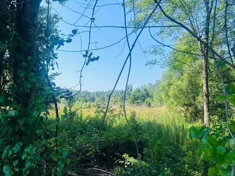 18 3acres- Turkey Ln, Kingstree, SC 29556 photo 8