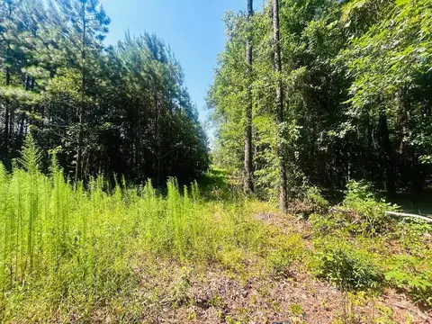 18 3acres- Turkey Ln, Kingstree, SC 29556 photo 7