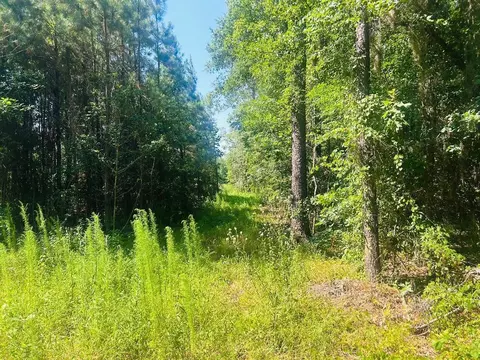 18 3acres- Turkey Ln, Kingstree, SC 29556 photo 9