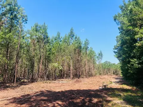 18 3acres- Turkey Ln, Kingstree, SC 29556 photo 6