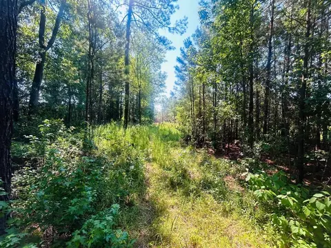 18 3acres- Turkey Ln, Kingstree, SC 29556 photo 3