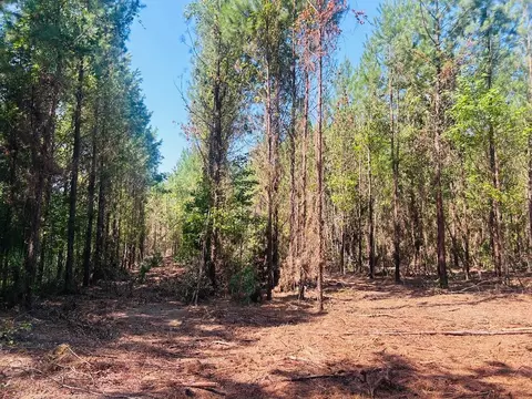 18 3acres- Turkey Ln, Kingstree, SC 29556 photo 5