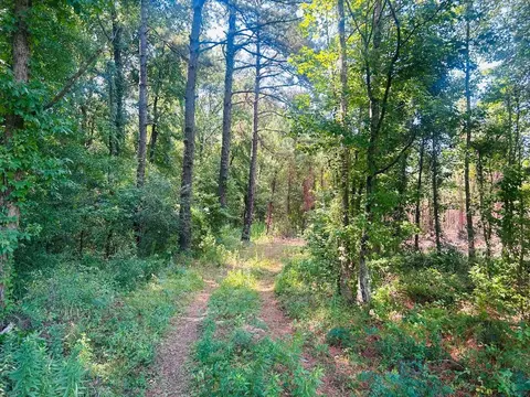 18 3acres- Turkey Ln, Kingstree, SC 29556 photo 2